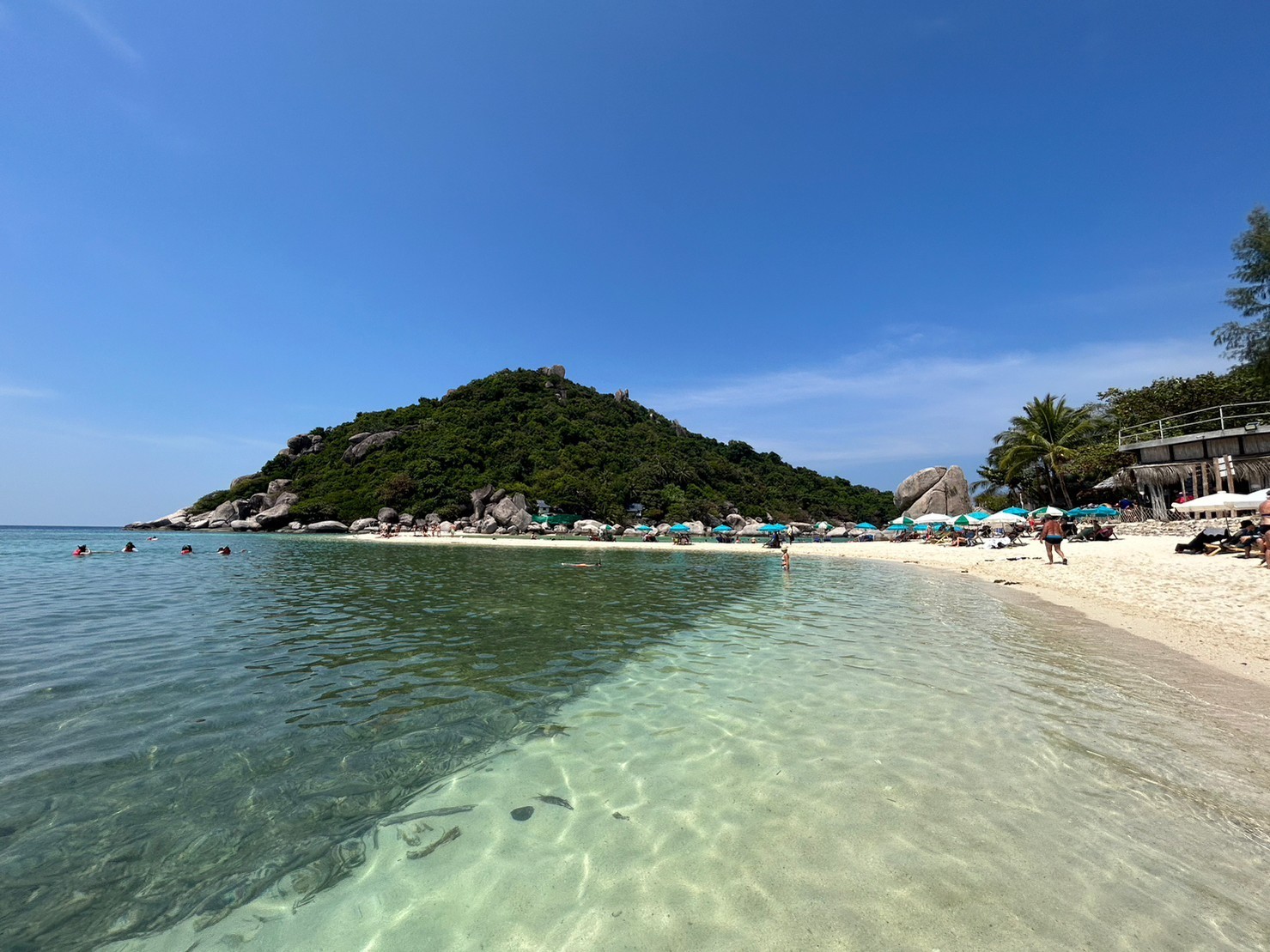 Entdecken Sie Koh Tao mit dem VIP-Schnellboot